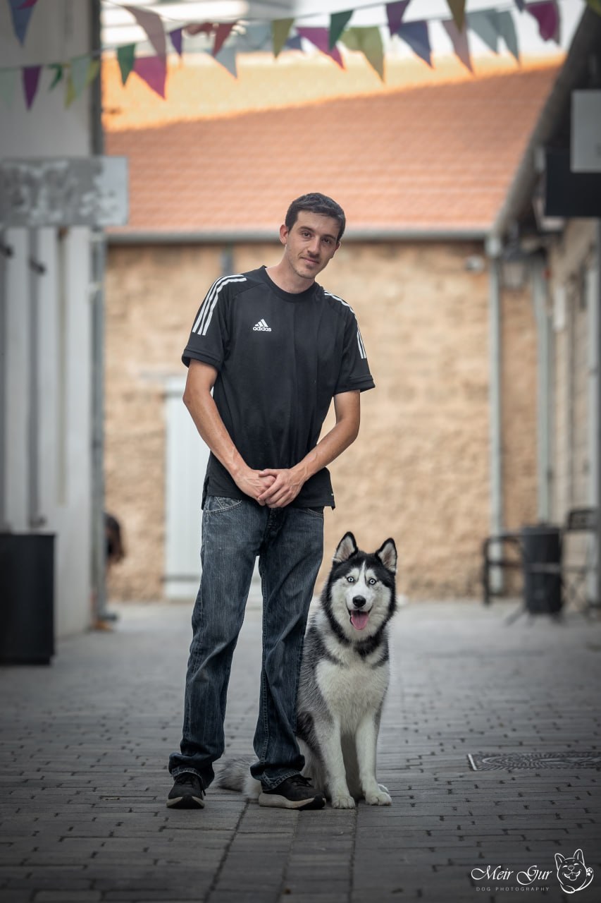 Aviv Pittel with a calm Siberian Husky